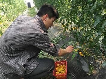 6a8ee72559ddc9a859ac9d8b662099b